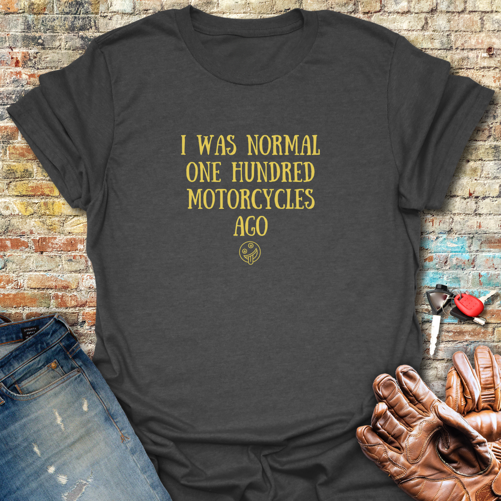 Normal 100 T-Shirt - Dark Heather
