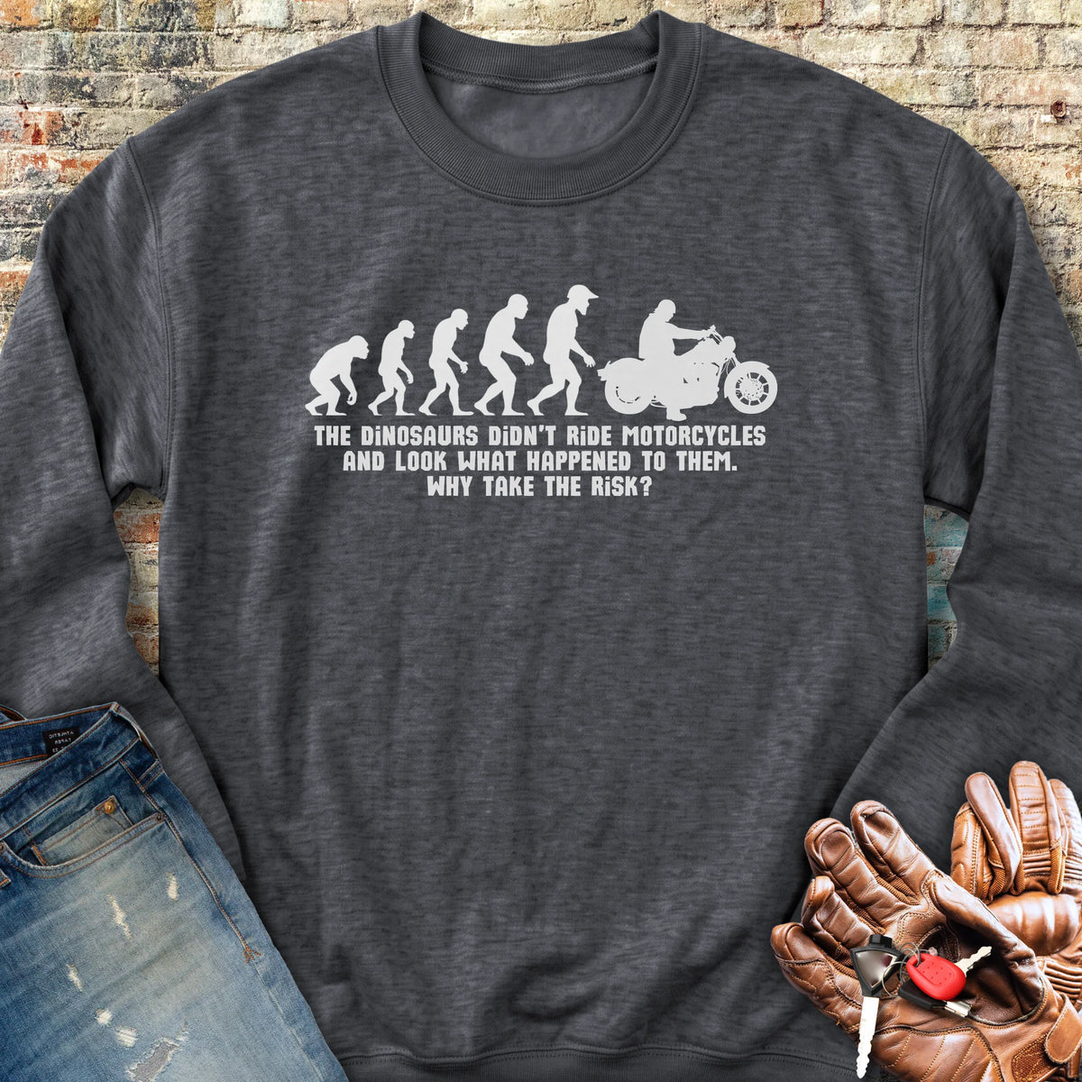 Dinosaur Evolution Sweatshirt - Dark Heather