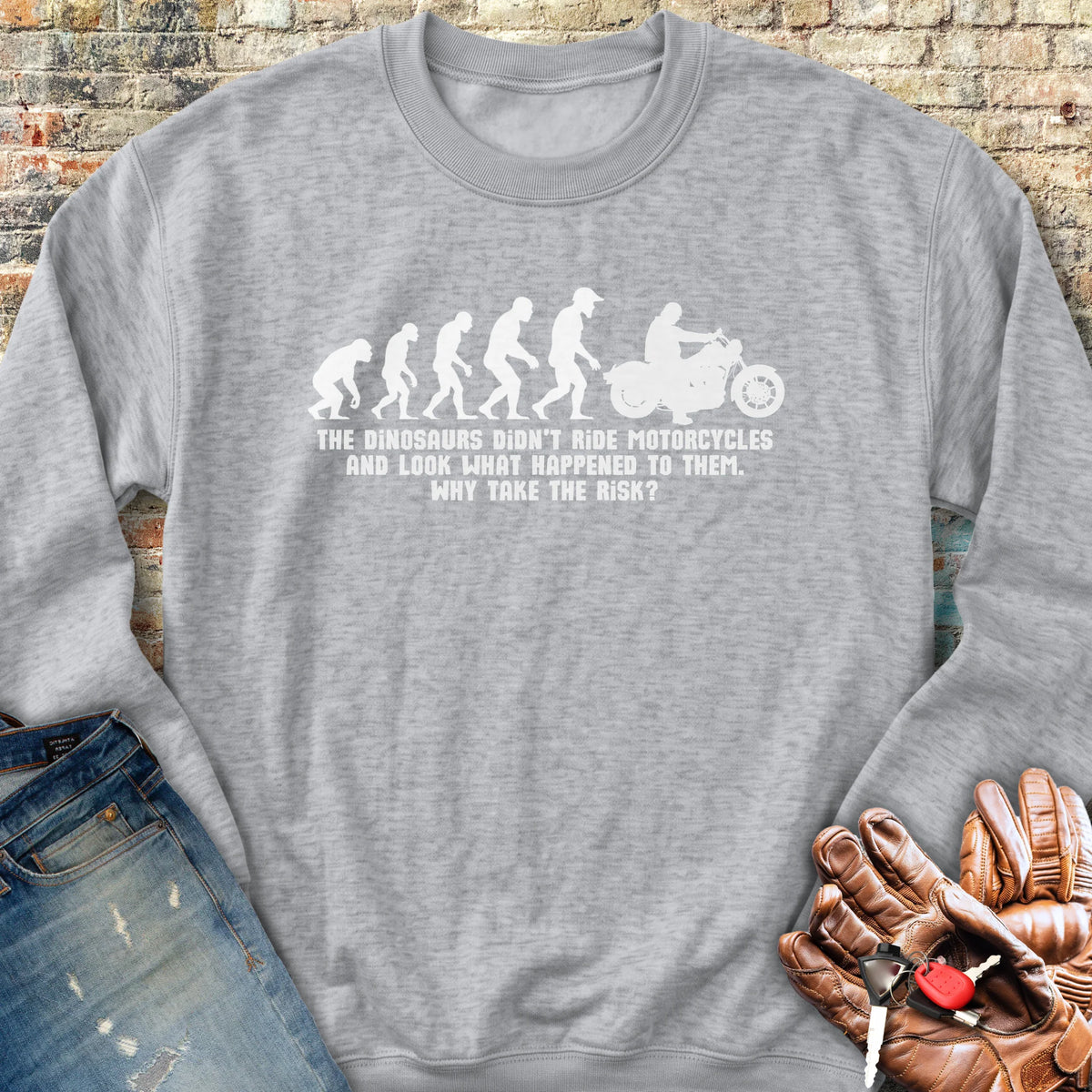 Dinosaur Evolution Sweatshirt - Sport Grey