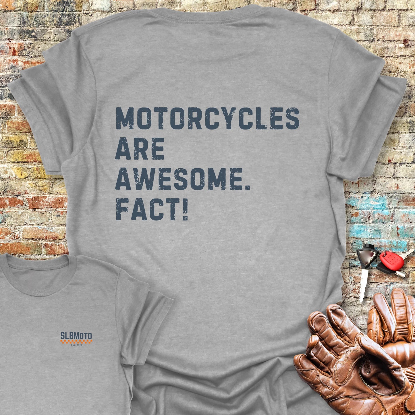 Fact (Text) Back Print T-Shirt - Sport Grey